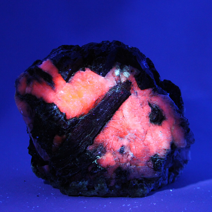 A stunning specimen showing big tourmaline crystals in red-fluorescent calcite.