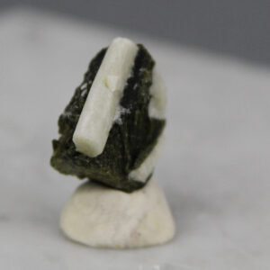 Fan-shaped epidote with apatite crystal (ThESP020)
