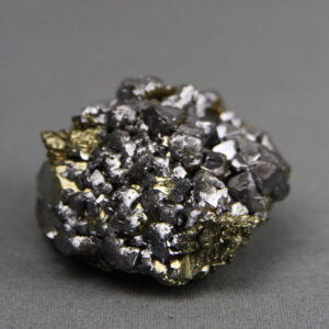 Galena crystals on pyrite (SCESP026)