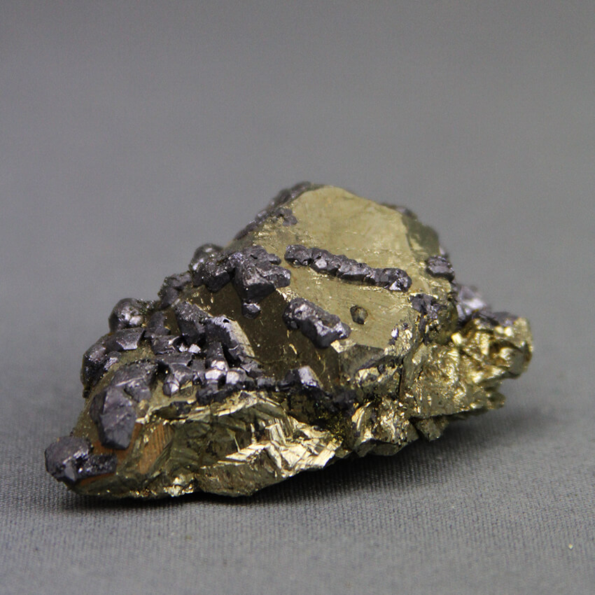 Galena on Pyrite Crystals (ESP174)