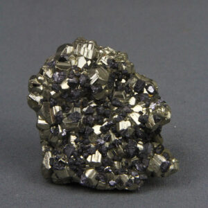 Galena crystals on pyrite (SCESP079)