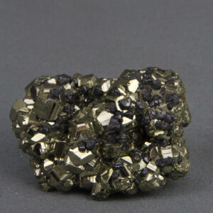 Galena crystals on pyrite (SCESP080)