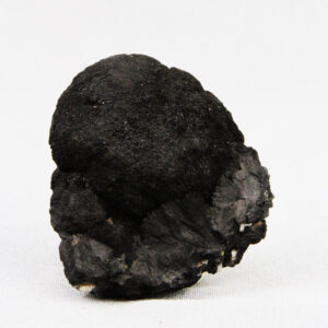 Unique botryoidal Black Mushroom Tourmaline (ESP0283)