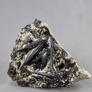 Black tourmaline and muscovite on quartz (MuESP015)