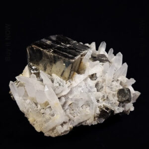 Cluster of Quartz, Pyrite and fluorescent Calcite (MuESP023)