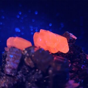 Pyrite cluster with fluorescent calcite (MuESP025)